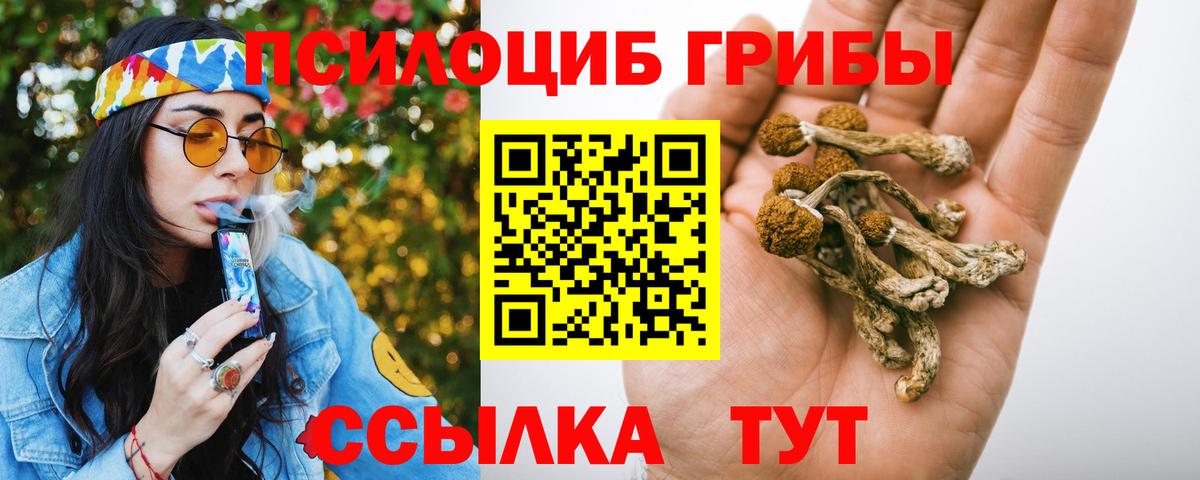 наркотики  Галлюциногенные грибы Psilocybe  Вход с VPN  Нижневартовск 